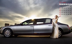 avnight在线观看网址